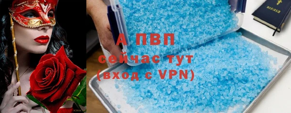 амф Новокубанск