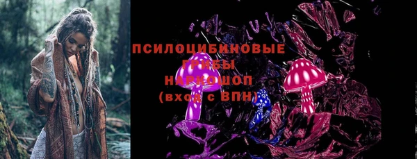 spice Кемь