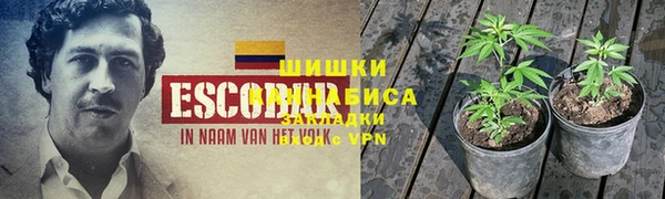 мет Тутаев