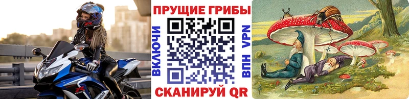 Псилоцибиновые грибы Psilocybe  это официальный сайт  Оха 